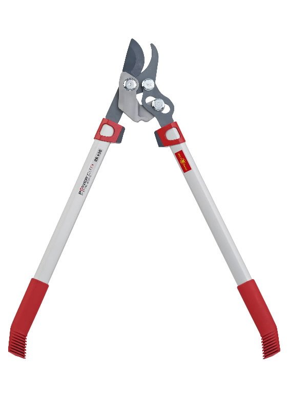 73CGA004650&WG, Wolf Garten