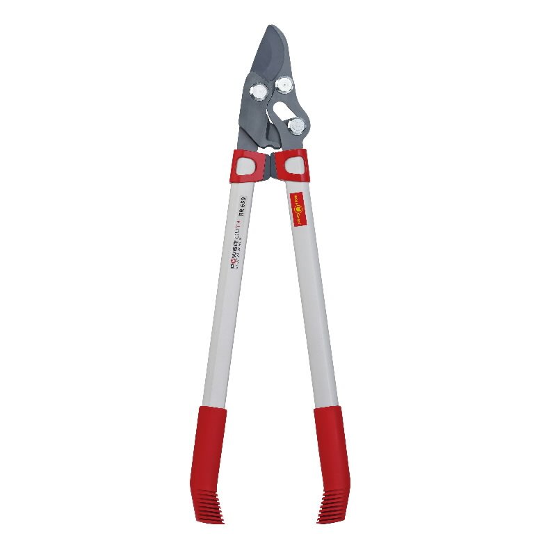 73CGA004650&WG, Wolf Garten