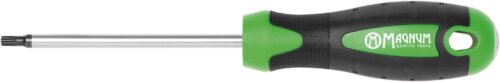 Kruvikeeraja TORX 25 100mm (42500) | Käsitööriistad>Kruvikeerajad>Kruvitsad | Magnum | Trollo.ee | Üle 10 000 toote