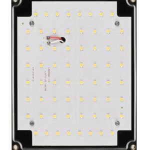 LED-fassaadivalgusti MODEE (LWL0011) 12W (880 lumen) IP65 160x108x130mm (880 lumen) | Elektrikaubad | Modee | Trollo.ee | Üle 10 000 toote