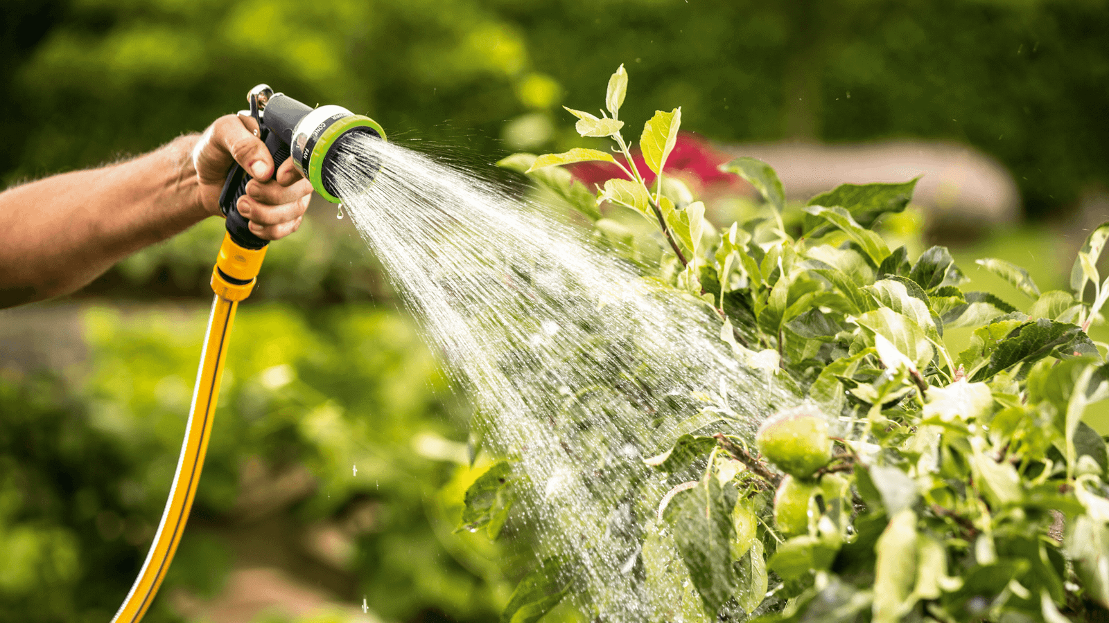 Akuga veepump Bosch GardenPump 18V-2000 (ilma aku ja laadijata)