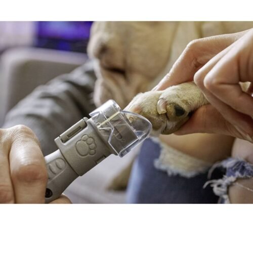 DREMEL SD60-PGK lihvketas seadmele Pet Groomer, 10tk PG10