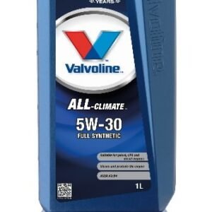 Mootoriõli All Climate 5W30 1L