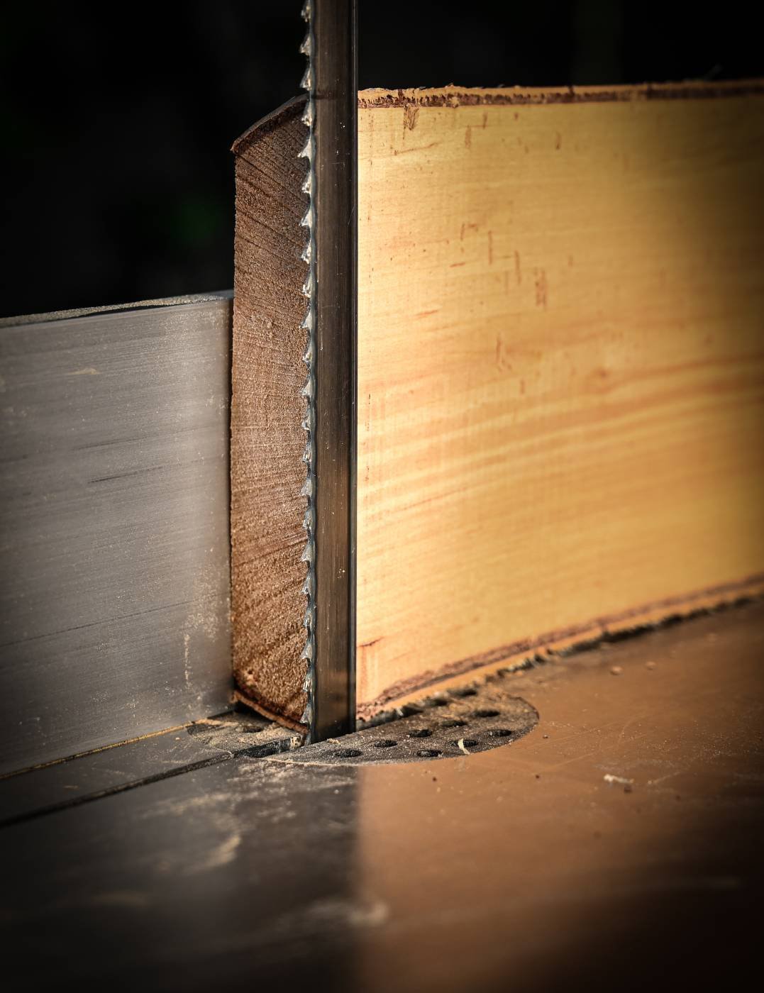 Saelint pehmele ja kõvale puidule. Luna 19 mm