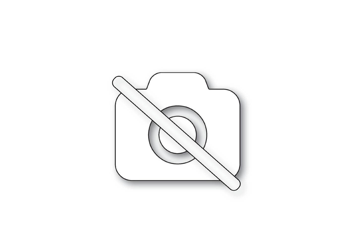 Serva- ja tasalihvmasin BSM 2260 Luna